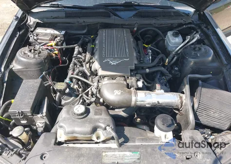 2009 Ford Mustang Gt/Gt Premium z USA, uszkodzony, nr VIN 1ZVHT82H495146300